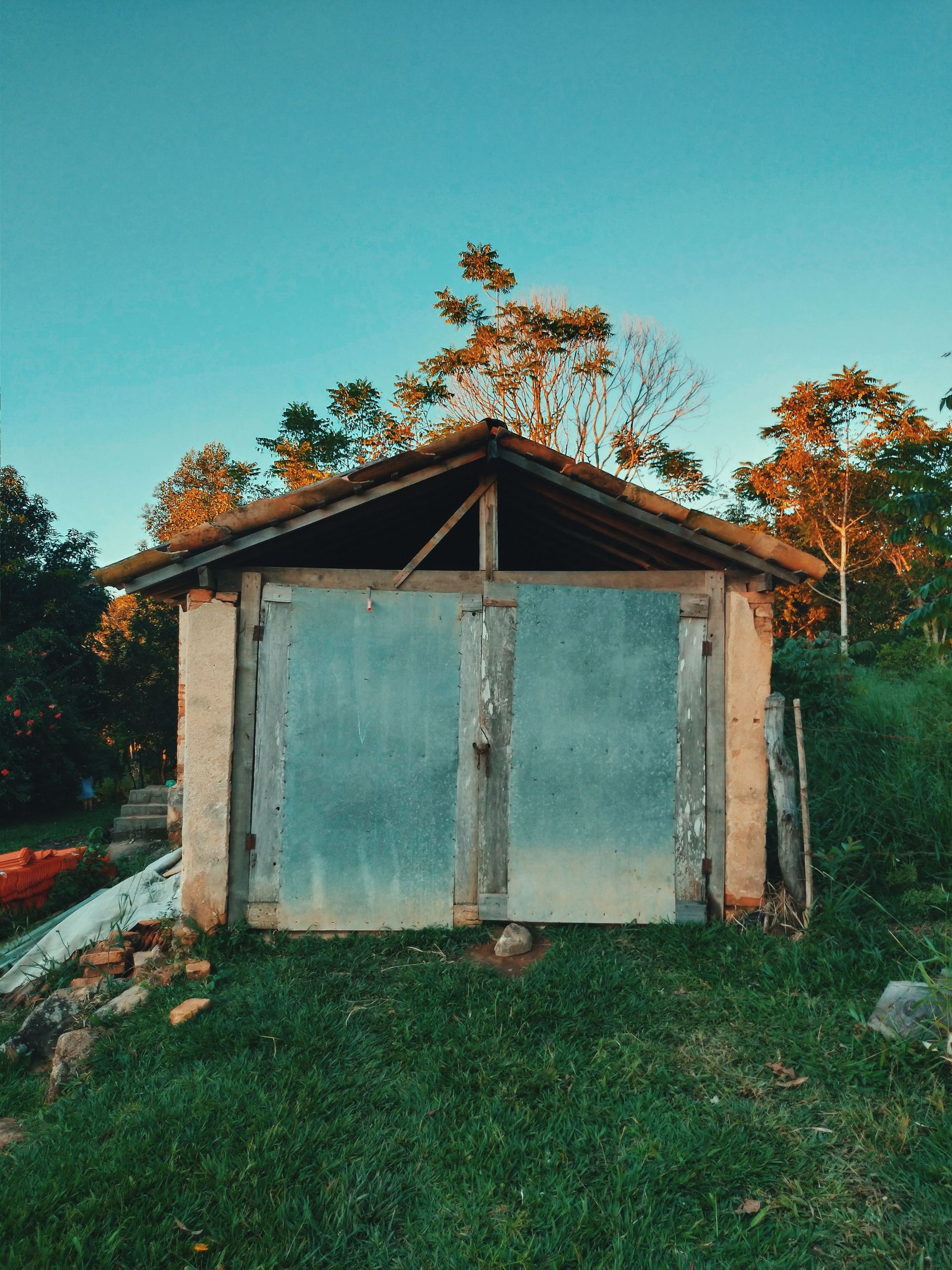 A rustic shed amidst lush greenery and trees in daylight. Perfect for themes of solitude and abandonment.